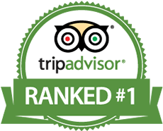 Ranked number one campground on Trip Advisor